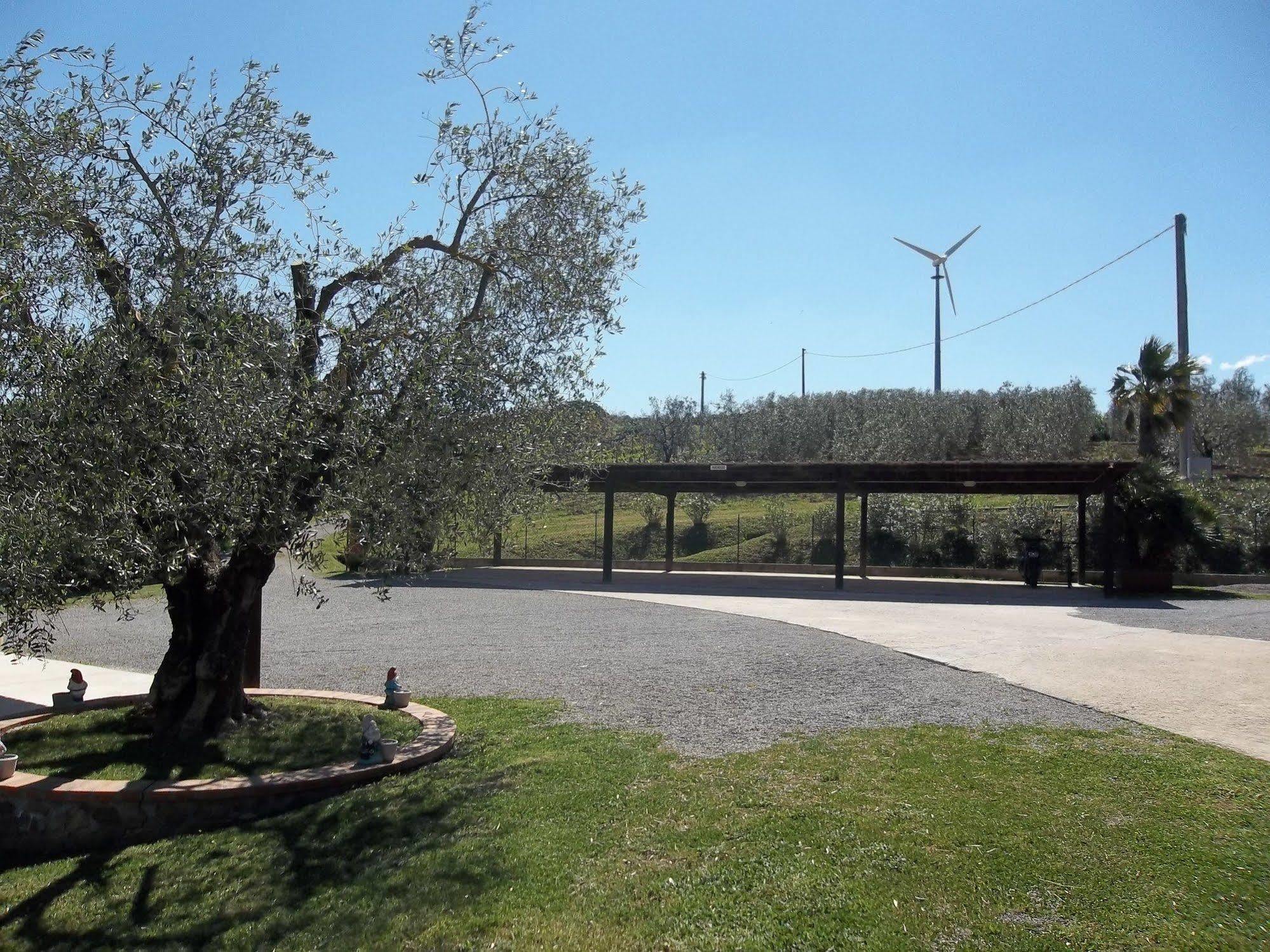 Agriturismo Galeazzi มาร์ซิลิอานา ภายนอก รูปภาพ